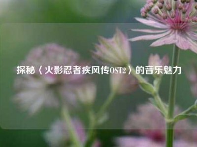 探秘〈火影忍者疾风传OST2〉的音乐魅力