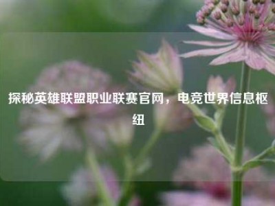 探秘英雄联盟职业联赛官网，电竞世界信息枢纽