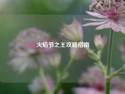 火焰节之王攻略指南