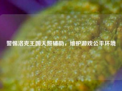 警惕洛克王国天照辅助，维护游戏公平环境
