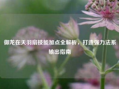 御龙在天羽扇技能加点全解析，打造强力法系输出指南