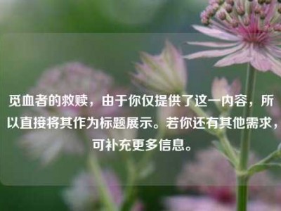 觅血者的救赎，由于你仅提供了这一内容，所以直接将其作为标题展示。若你还有其他需求，可补充更多信息。
