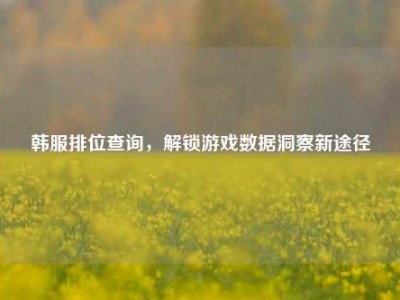 韩服排位查询，解锁游戏数据洞察新途径