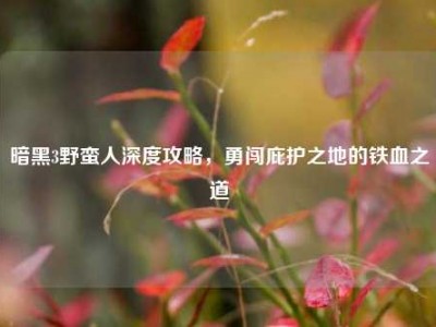 暗黑3野蛮人深度攻略，勇闯庇护之地的铁血之道