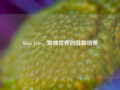 Xbox Live，游戏世界的互联纽带