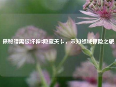 探秘暗黑破坏神3隐藏关卡，未知领域惊险之旅