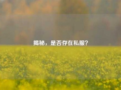 揭秘，是否存在私服？