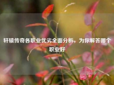 轩辕传奇各职业优劣全面分析，为你解答哪个职业好