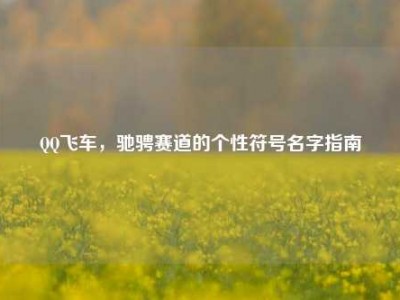 QQ飞车，驰骋赛道的个性符号名字指南