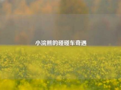 小浣熊的碰碰车奇遇