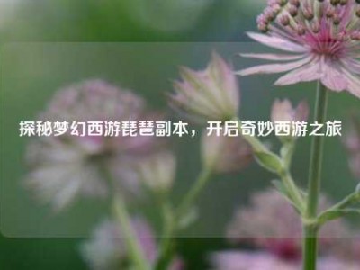 探秘梦幻西游琵琶副本，开启奇妙西游之旅