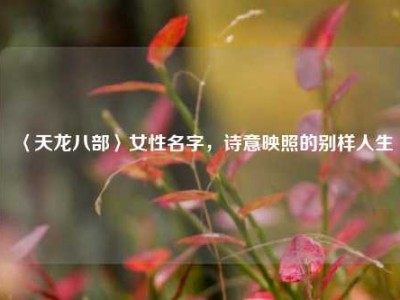 〈天龙八部〉女性名字，诗意映照的别样人生