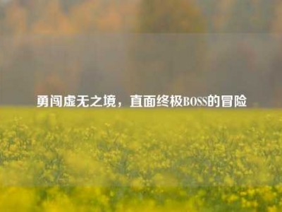 勇闯虚无之境，直面终极BOSS的冒险