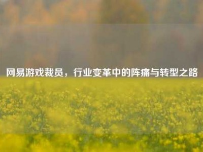 网易游戏裁员，行业变革中的阵痛与转型之路