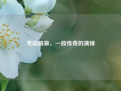 龙筋箭袋，一段传奇的演绎