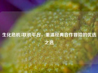生化危机5联机平台，重温经典合作冒险的优选之选