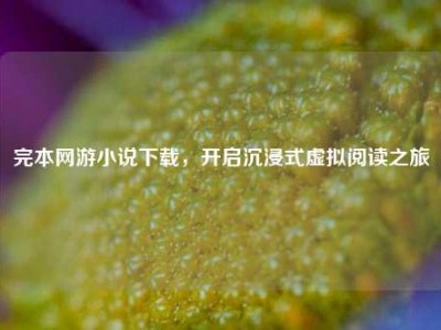 完本网游小说下载，开启沉浸式虚拟阅读之旅