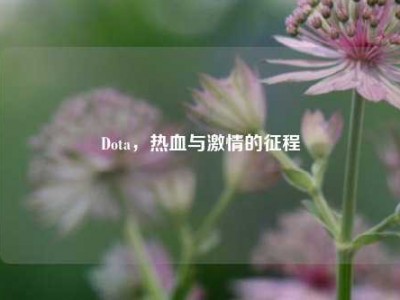 Dota，热血与激情的征程