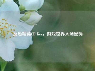 反恐精英CD Key，游戏世界入场密码