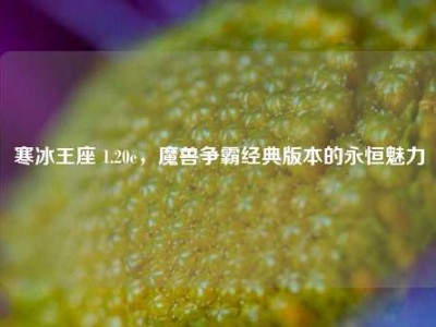 寒冰王座 1.20e，魔兽争霸经典版本的永恒魅力