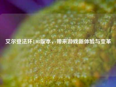 艾尔登法环1.03版本，带来游戏新体验与变革