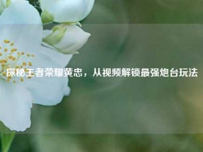 探秘王者荣耀黄忠，从视频解锁最强炮台玩法