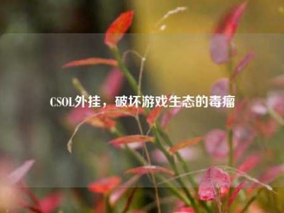 CSOL外挂，破坏游戏生态的毒瘤