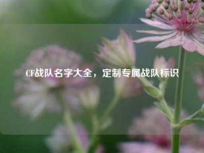 CF战队名字大全，定制专属战队标识