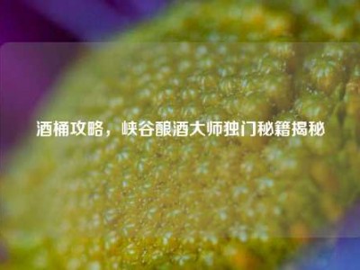 酒桶攻略，峡谷酿酒大师独门秘籍揭秘