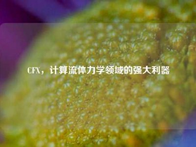 CFX，计算流体力学领域的强大利器