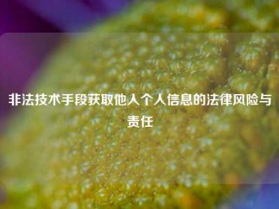 非法技术手段获取他人个人信息的法律风险与责任