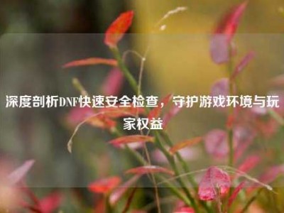 深度剖析DNF快速安全检查，守护游戏环境与玩家权益