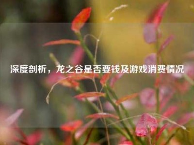 深度剖析，龙之谷是否要钱及游戏消费情况