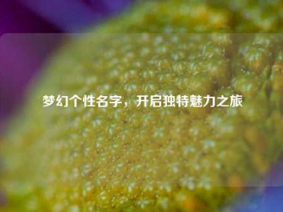 梦幻个性名字，开启独特魅力之旅
