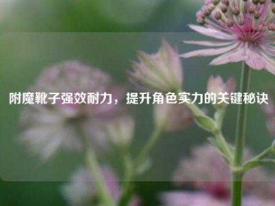 附魔靴子强效耐力，提升角色实力的关键秘诀