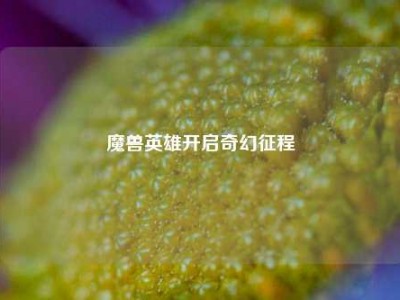 魔兽英雄开启奇幻征程