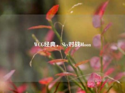 WCG经典，Sky对战Moon