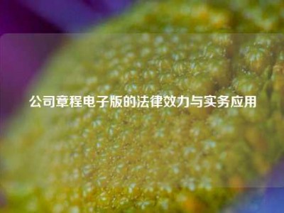 公司章程电子版的法律效力与实务应用