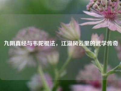 九阴真经与韦陀棍法，江湖风云里的武学传奇