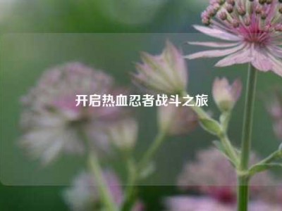开启热血忍者战斗之旅