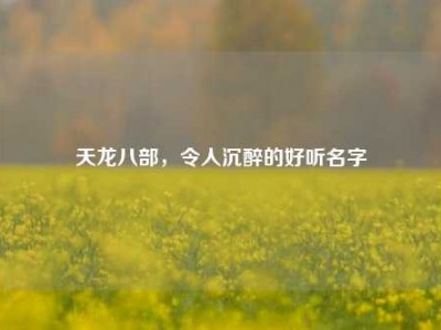 天龙八部，令人沉醉的好听名字