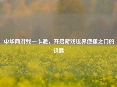中华网游戏一卡通，开启游戏世界便捷之门的钥匙