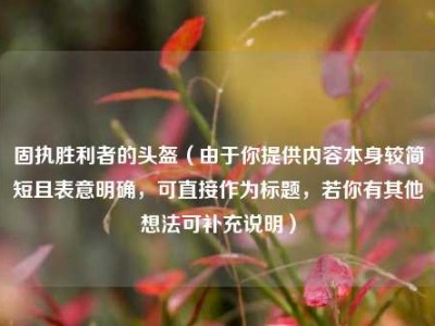 固执胜利者的头盔（由于你提供内容本身较简短且表意明确，可直接作为标题，若你有其他想法可补充说明）