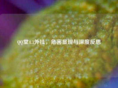 QQ堂4.3外挂，危害显现与深度反思