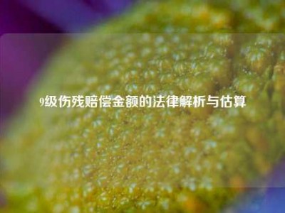 9级伤残赔偿金额的法律解析与估算