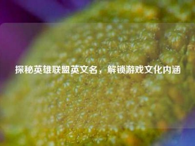 探秘英雄联盟英文名，解锁游戏文化内涵