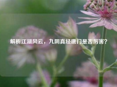 解析江湖风云，九阴真经唐门是否厉害？