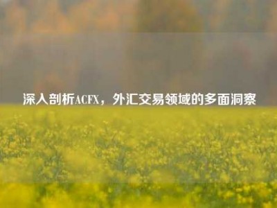 深入剖析ACFX，外汇交易领域的多面洞察