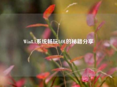 Win8.1系统畅玩LOL的秘籍分享