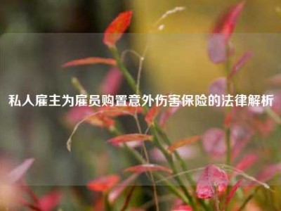 私人雇主为雇员购置意外伤害保险的法律解析